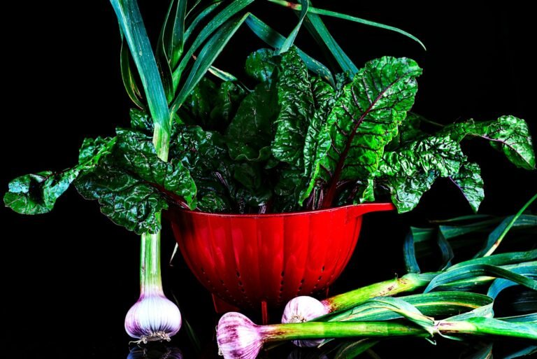 green leaves on red ceramic bowl
