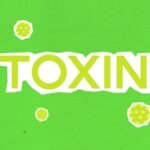 How to Reduce Toxins in Your Home