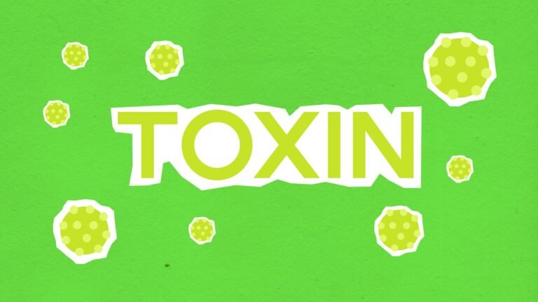 How to Reduce Toxins in Your Home