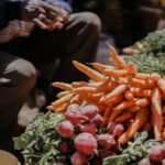 How to Grow Your Own Organic Food